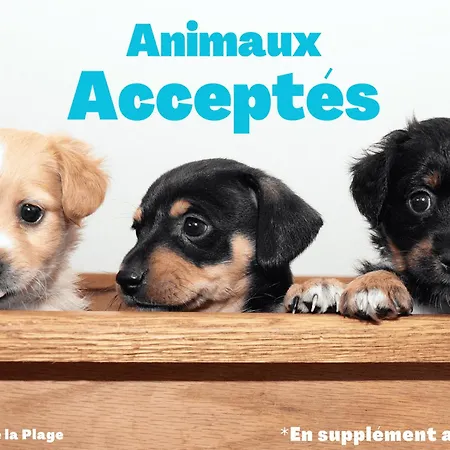 Maison Arriere-plage 2 Ch. Animaux Admis, Parking - Fr-1-323-436 * Saint-Hilaire-de-Riez